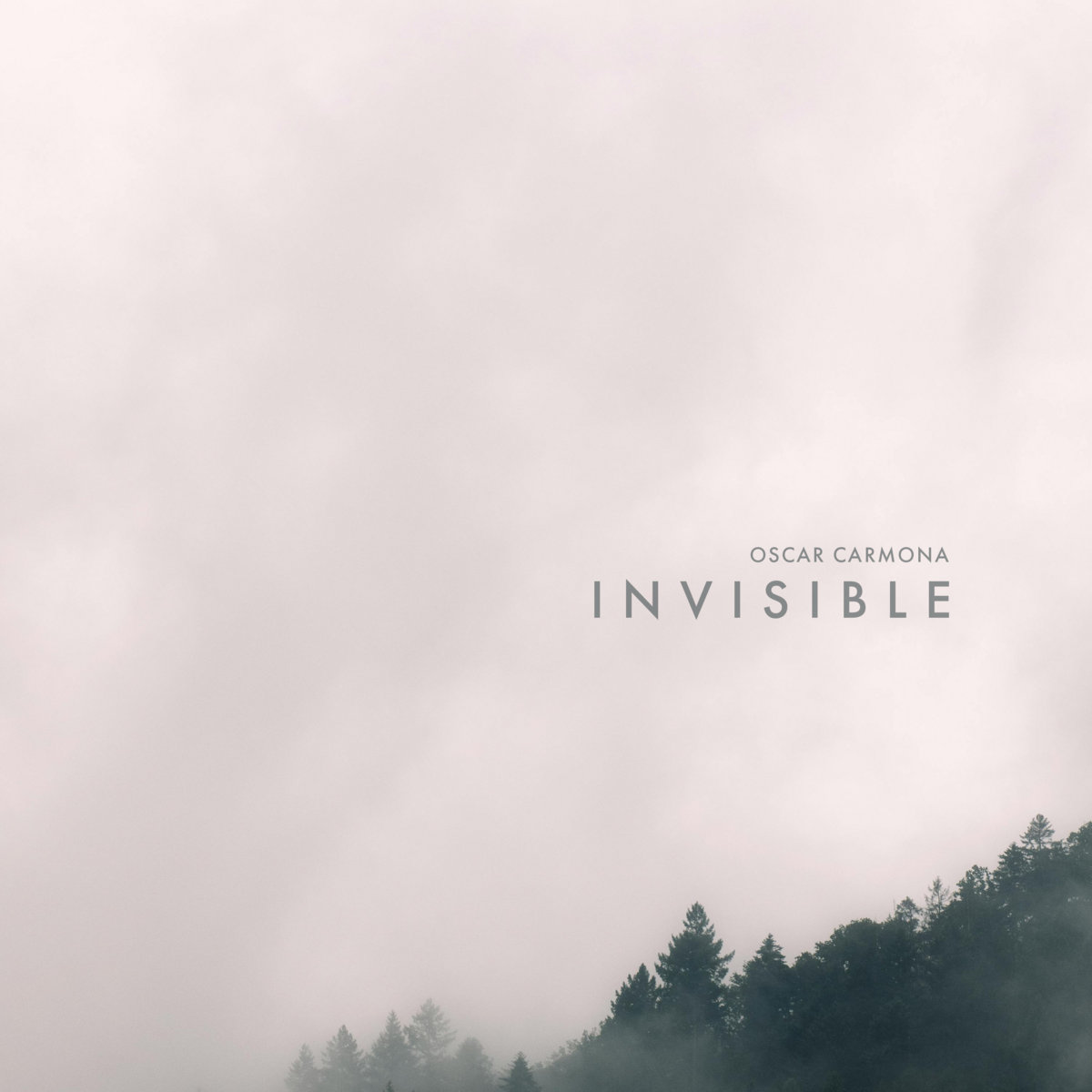 invisible--